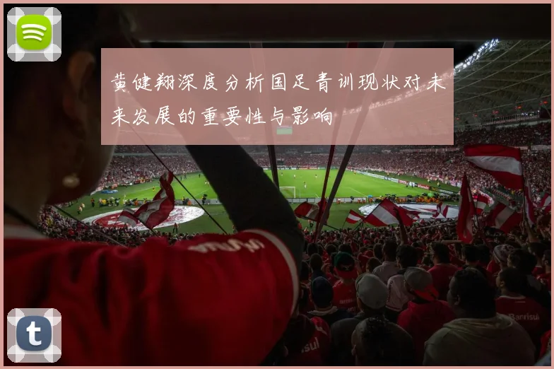 黄健翔深度分析国足青训现状对未来发展的重要性与影响