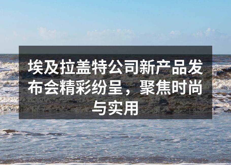 发布会现场热闹非凡