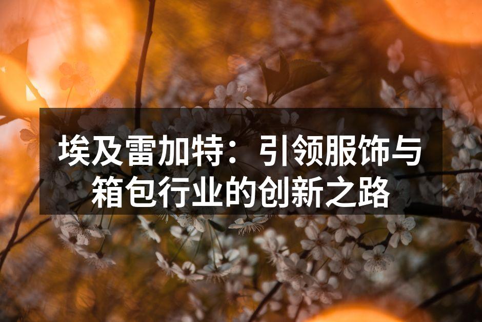 埃及雷加特的可折叠箱包系列