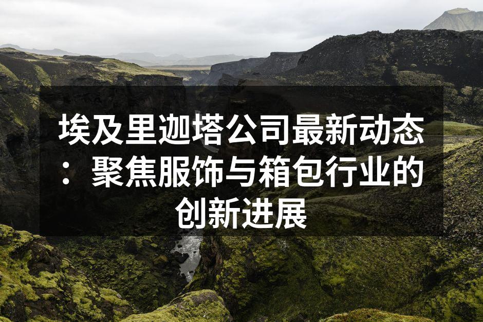 埃及里迦塔公司最新动态：聚焦服饰与箱包行
